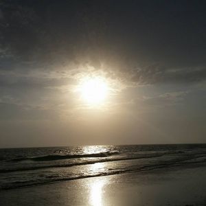 Meet your Posher, De